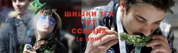 прущие грибы Абаза