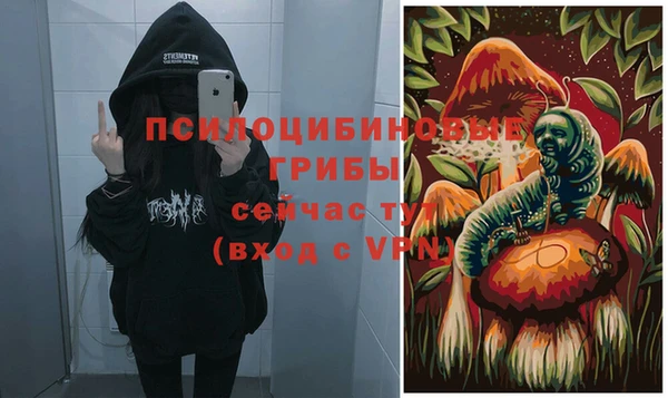 прущие грибы Абаза