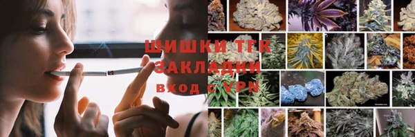 прущие грибы Абаза