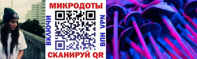 купить  сайты  Шарья  Галлюциногенные грибы MAGIC MUSHROOMS 